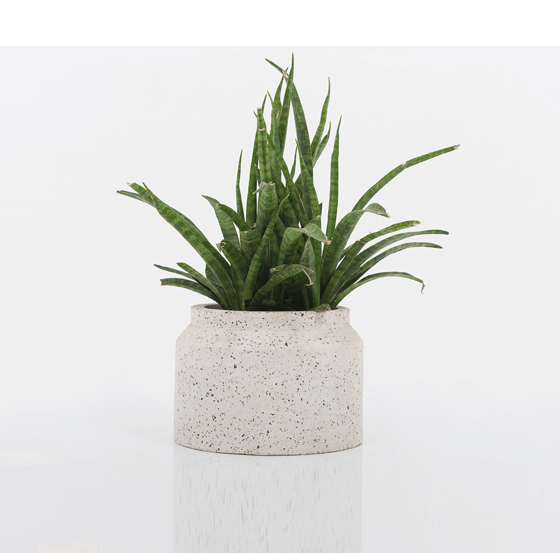 Carafe Terrazzo - Bina Sohail