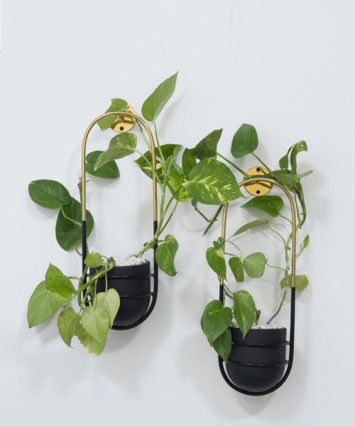 Hanging out (brass)