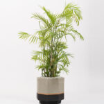 planter