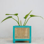 Cane planter (Sea green) 2