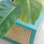 Cane planter (Sea green) 3