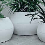 Orion (Jute) 7