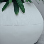 Orion (Jute) 6