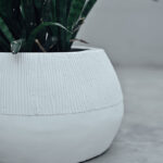 Orion (Jute) 4