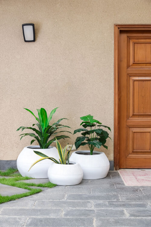 planters in Pakistan