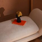 Linea Bench 3