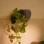 Pinch Wall Planters 7