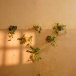Pinch Wall Planters 4