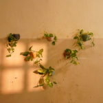 Pinch Wall Planters 4