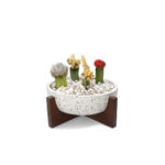 White Terrazzo Bowl 9