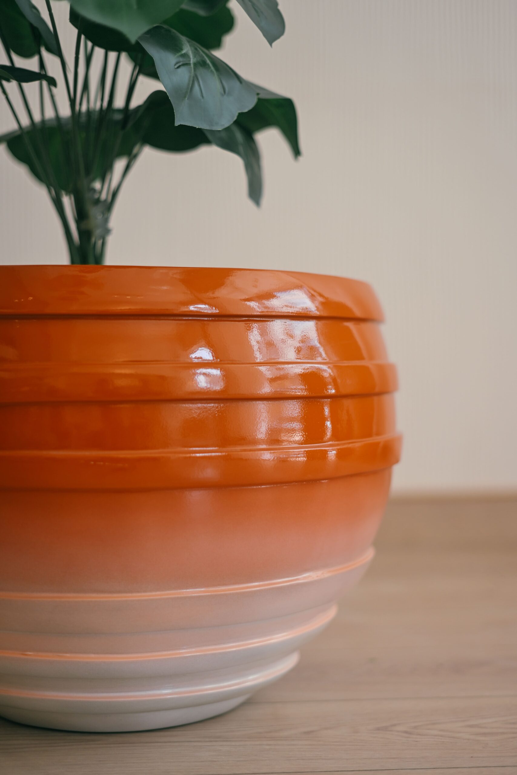 Contour in Ember 1