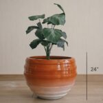 Contour in Ember 4