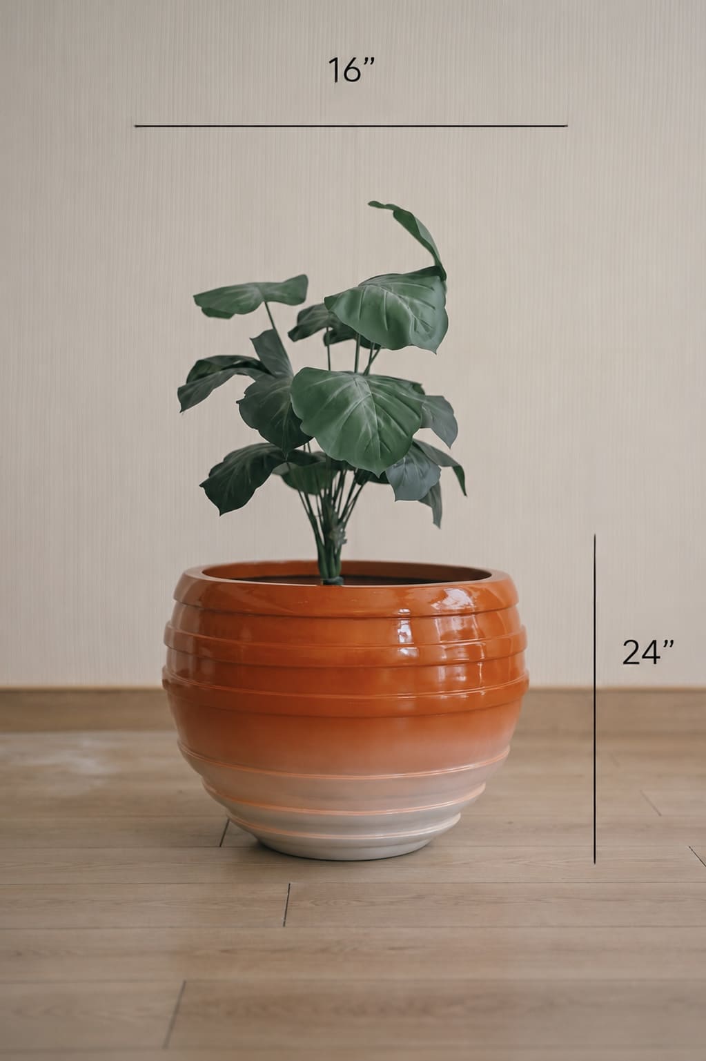 Contour in Ember 2
