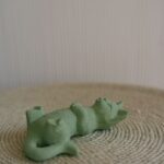 Mochi 6
